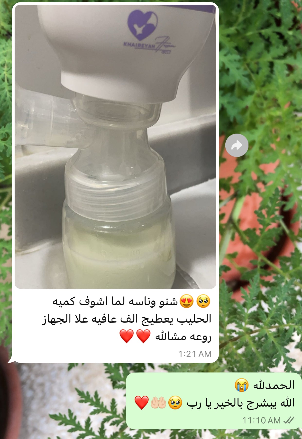 شفاطة الحليب الكهربائية